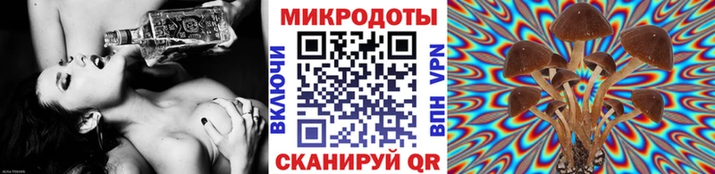 Галлюциногенные грибы Psilocybine cubensis Красный Холм
